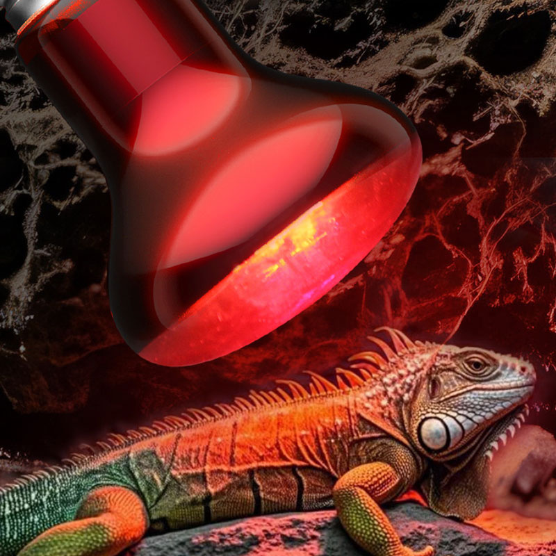 Gecko Lighting & Decor - 爬虫類用ヒートランプ 100V/220V 赤外線電球 ペット用ヤモリ、両生類、テラリウム、ビバリウム用暖房照明器具 ヒーター
