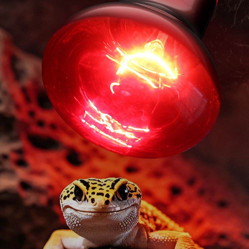 爬虫類用ヒートランプ 100V/220V 赤外線電球 ペット - Gecko Lighting & Decor のレビューと価格