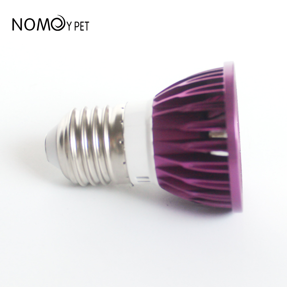 NOMOY ムーンライトLEDナイトライト、テラリウム用、爬 - Gecko Lighting & Decor のレビューと価格